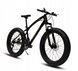 Горный велосипед Fatbike Inna рама 17,5 дюймов 26 черный ПЛ2633 фото 1